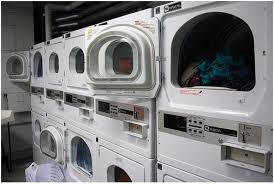 Langhals Halie - Nov 20, 2013 1106 AM - 5