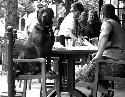 Screen Shot 2014-11-12 at 2.04.11 PM