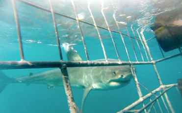 Screen Shot 2014-11-23 at 11.17.29 PM