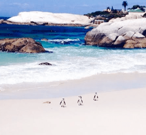 Screen Shot 2014-11-23 at 11.17.46 PM