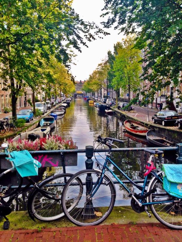 31854-42194 - Ray Christina - Mar 24, 2015 837 PM - blog pic 3