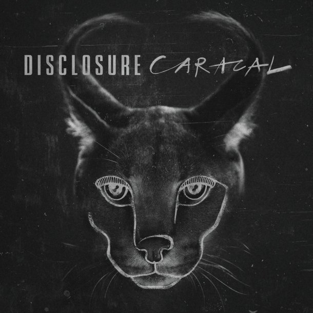 38448-59347 - Wohl Meredith - Apr 14, 2016 215 PM - Caracal - Disclosure