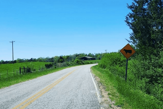 Screen Shot 2016-04-11 at 11.26.44 AM