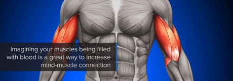 Screen Shot 2016-04-24 at 3.33.01 PM