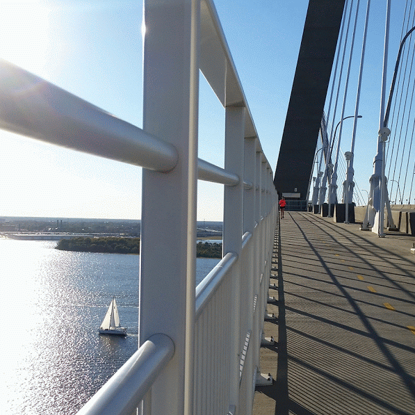 44729-69133-caplan-catherine-nov-9-2016-749-pm-5-ravenel-bridge